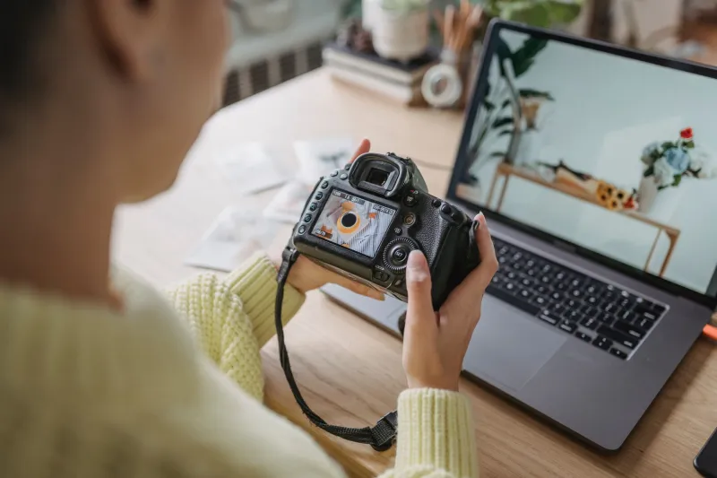 Forget the Trophy Case: How Stock Platform Algorithms Actually Decide Which Photos Make Money